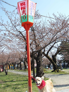 n70412-2.jpg
