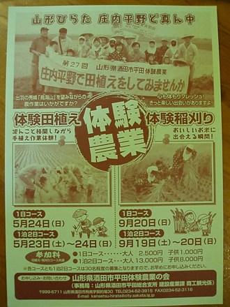 0423-13.jpg
