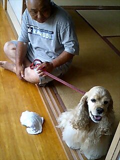 img20070818.jpg