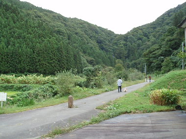 n70929-6.jpg