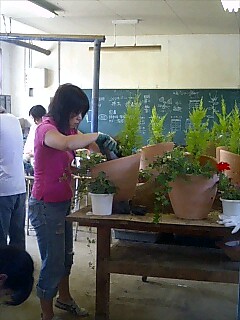 img20080624.jpg
