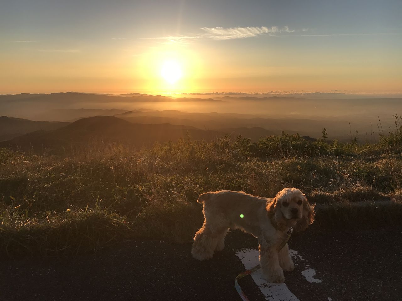 月山八合目の夕焼けと星空 食いしん坊な雑貨屋の日記