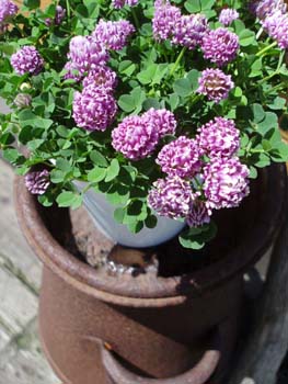 n60425-5.jpg