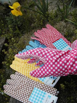 n50428-4.jpg