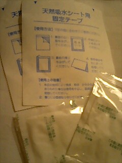 img20060216_1.jpg