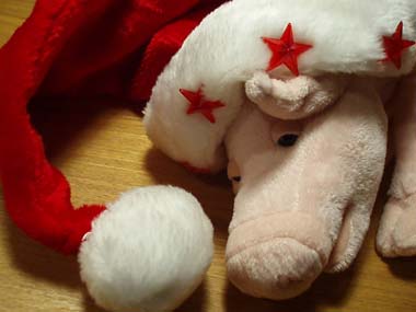 n71221-2.jpg