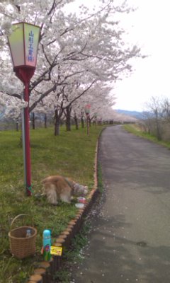 img20090420.jpg