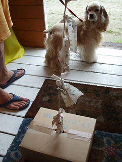 n70925-7.jpg