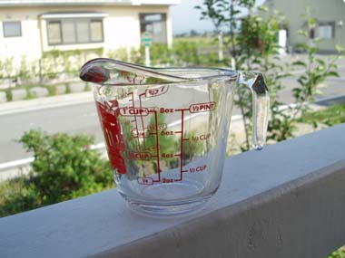 n60613-11.jpg