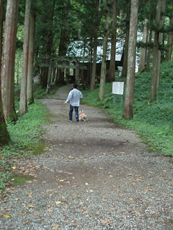 n70929-7.jpg