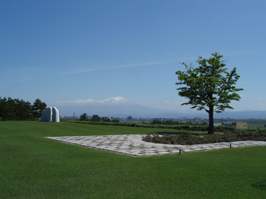n70521-9.jpg