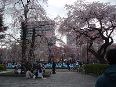 n70414-1.jpg