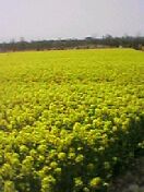050430_1119%7E01.jpg