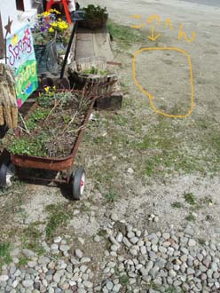 n80402-1.jpg