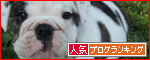 br_decobanner_20090907210837.gif