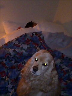 img20070331.jpg