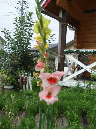 0802-6.jpg