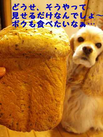 img20090324.jpg