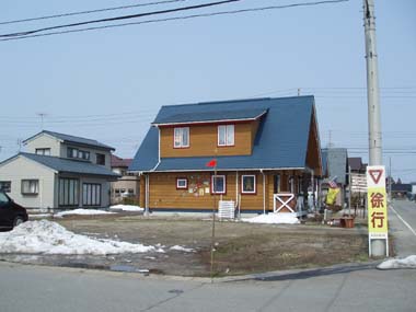 n80313-20.jpg