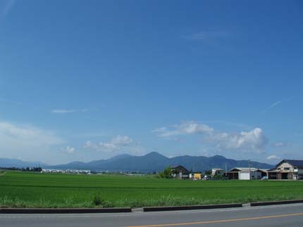 n80731-12.jpg