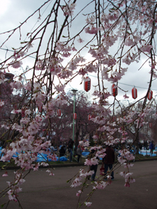 n70414-2.jpg