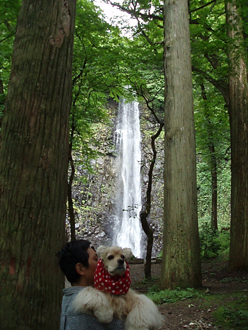 n70929-9.jpg