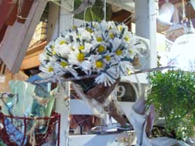 n60321-5.jpg
