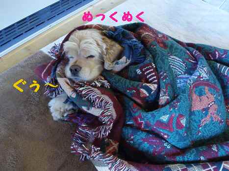 img20090227.jpg