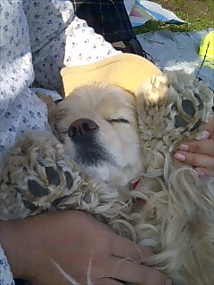 img20081018_2.jpg