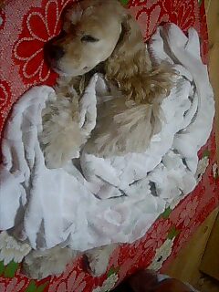 img20080923_1.jpg
