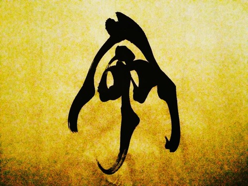 11215130_10203108422150486_3300354652012218553_n