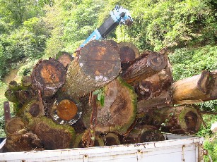 img20071030_2.jpg