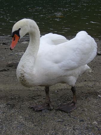 img20070925_1.jpg