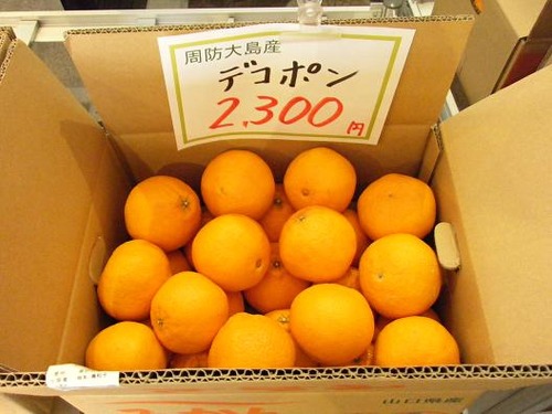 平成25年3月28日撮影 016