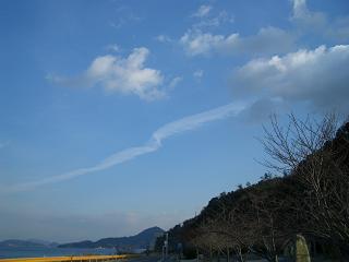 img20060126.jpg