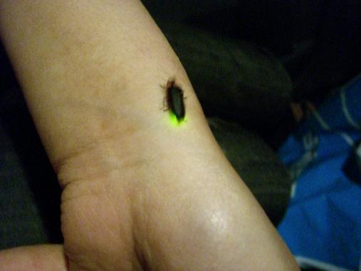 img20070531_4.jpg