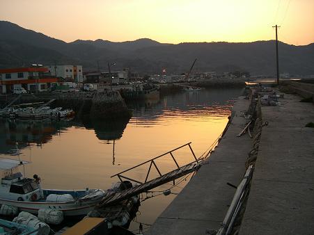 img20080329.jpg