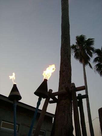 img20080324_3.jpg