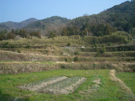 img20080321_3.jpg