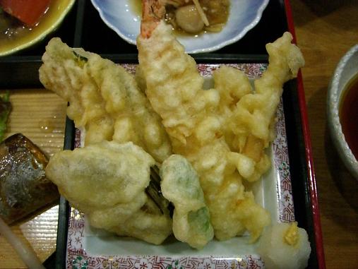 img20060929_3.jpg