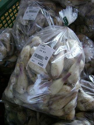img20080610_3.jpg