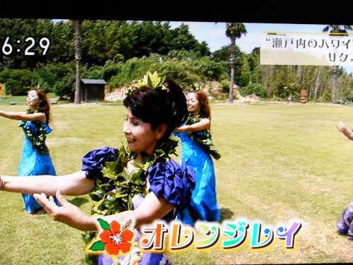 テレビ平成２５年７月１9日撮影 011