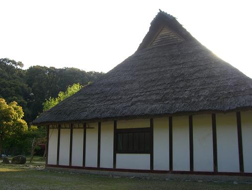 img20070420_2.jpg