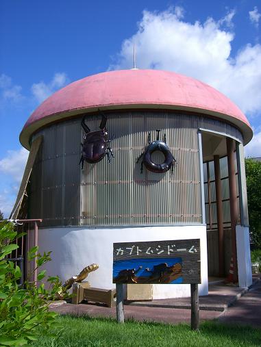 img20060729_1.jpg
