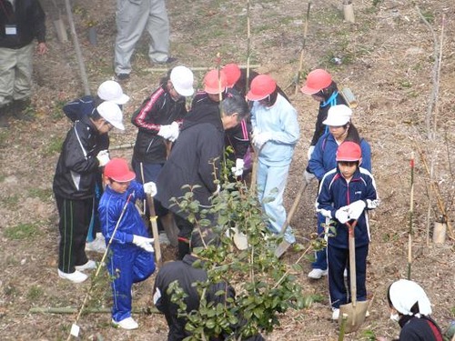 撮影平成25年2月22日 034