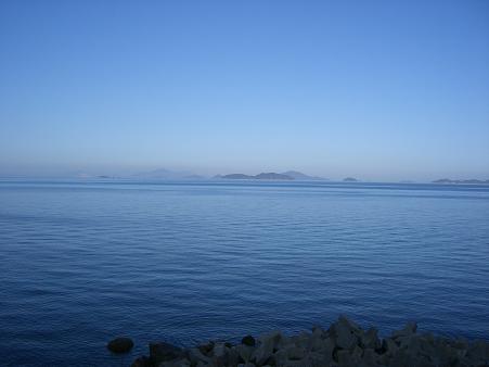 img20080316_1.jpg