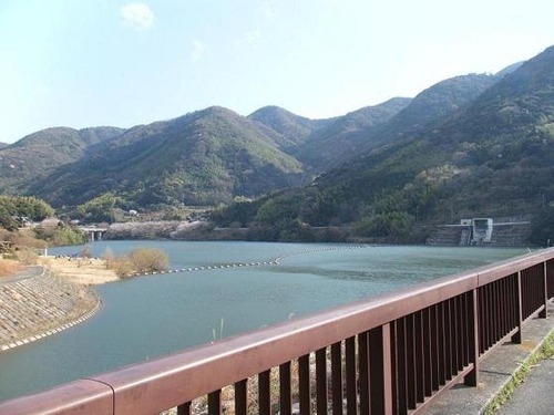 平成25年3月25日撮影 045