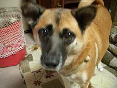 img20051123.jpg