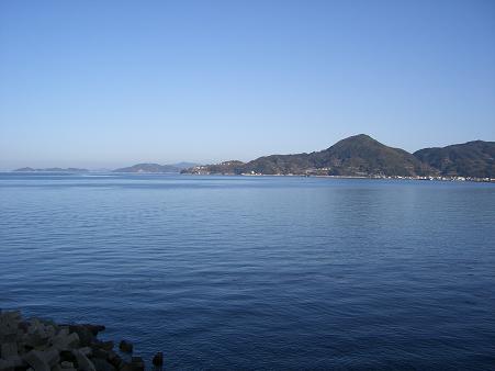 img20080316_3.jpg