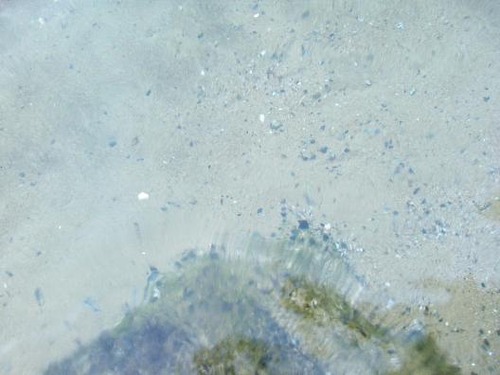 平成２５年７月30日ＰＭ７：０５撮影。 002